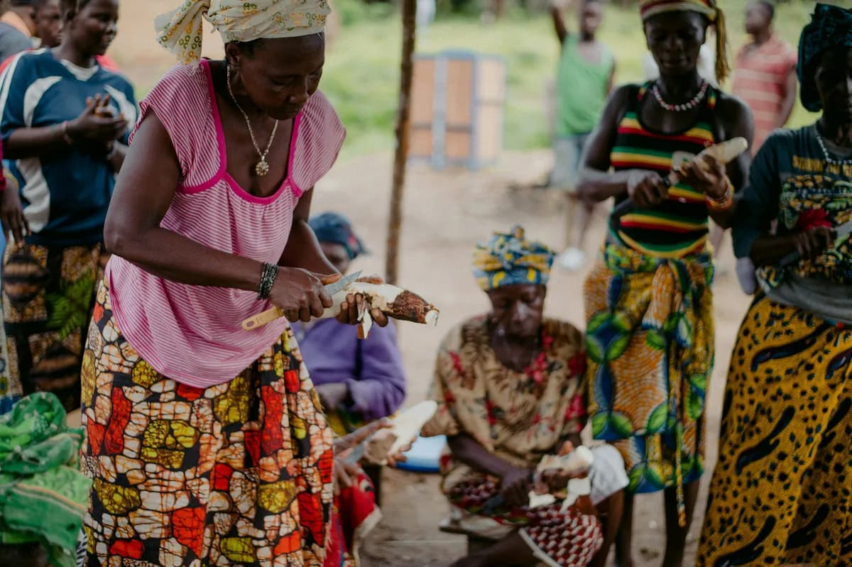 group of women peeling cassava